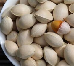 秋天什么果是白色的