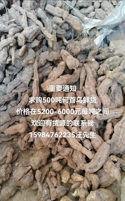 新鲜何首乌什么价