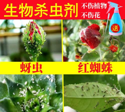 家庭养花用生根粉