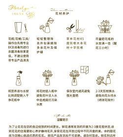 台湾花之了怎么用