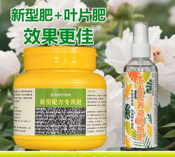 家庭养花用生根粉
