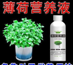 家庭养花用生根粉