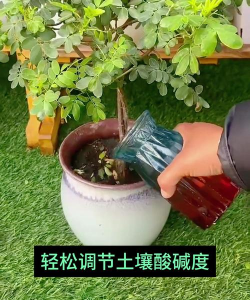 养花土里放苏打粉好吗吗