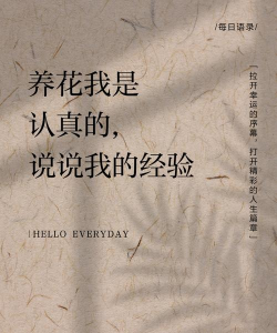 家庭养花用生根粉