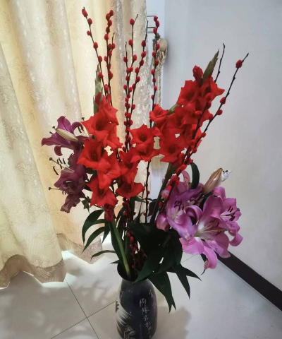 棉花柳配什么花好看