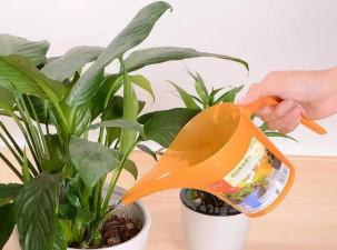 夏天养花用什么水浇好些