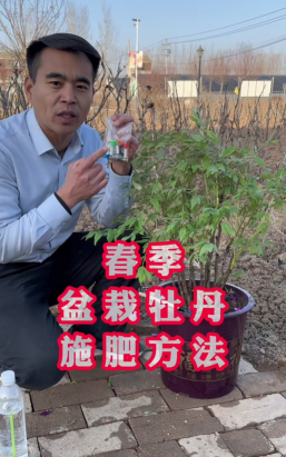 家庭养花用生根粉