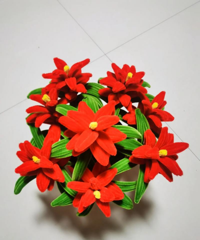 家庭养花用生根粉