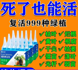 家庭养花用生根粉