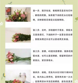 桔梗花束怎么养护