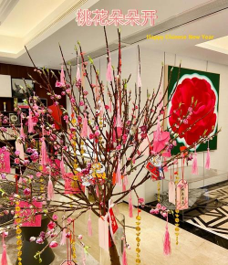 春节室内摆什么花好看