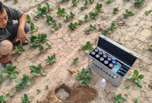 家庭养花用生根粉