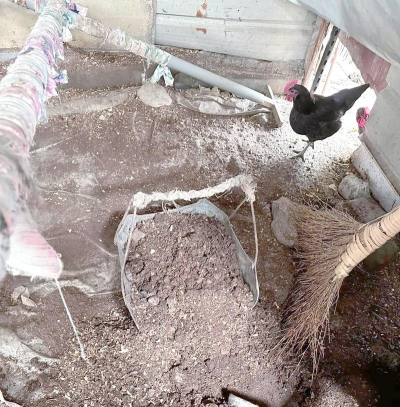 家庭养花用生根粉