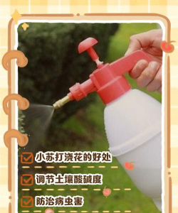 家庭养花用生根粉