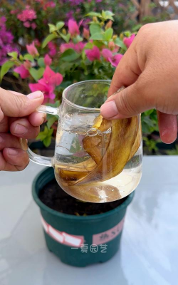 家庭养花用生根粉