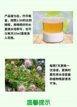 家庭养花用生根粉