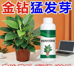 家庭养花用生根粉