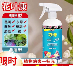 家庭养花用生根粉