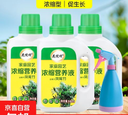家庭养花用生根粉