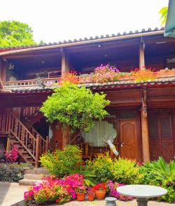 家庭养花用生根粉