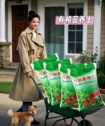 家庭养花用生根粉