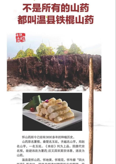 山药什么时候引进中国