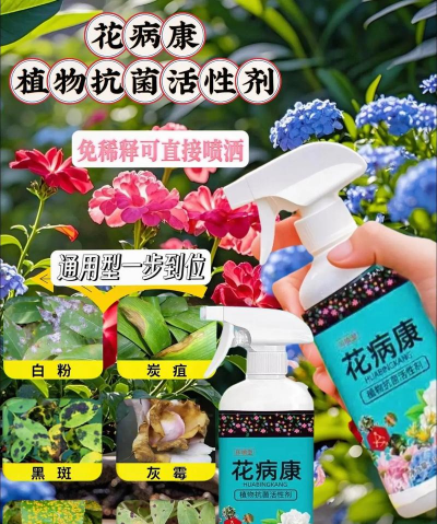 家庭养花用生根粉