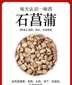 石昌蒲有什么疗效