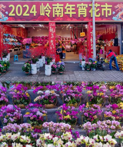 广州岭南怎么进花