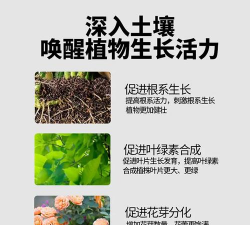 家庭养花用生根粉