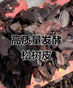什么是发酵的松树皮