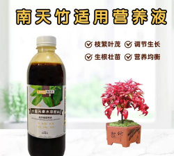 家庭养花用生根粉