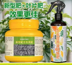 家庭养花用生根粉