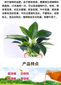 家庭养花用生根粉