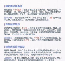 养花土能加沙子吗有毒吗