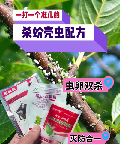 家庭养花用生根粉