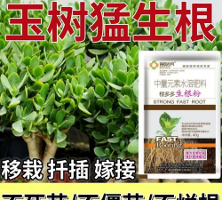 家庭养花用生根粉