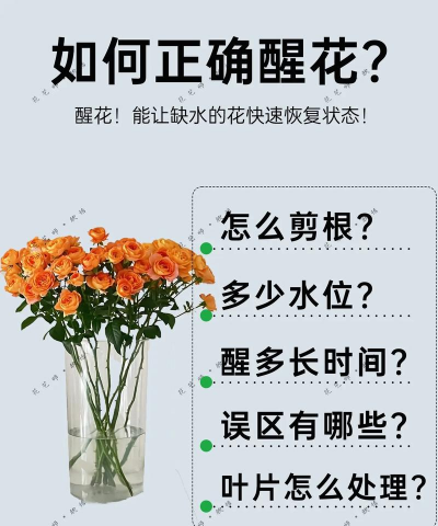 黑美人怎么醒花