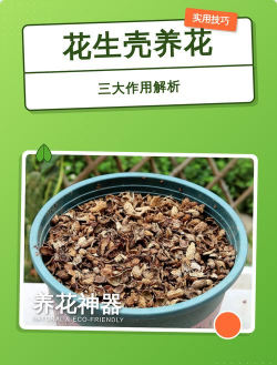 可以放花生壳养花吗吗