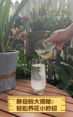 家庭养花用生根粉