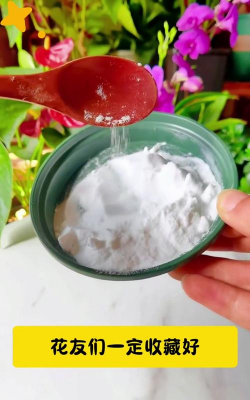 家庭养花用生根粉