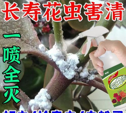 家庭养花用生根粉