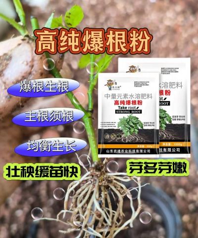 家庭养花用生根粉