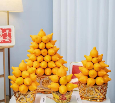 黄金果盆栽怎么穿