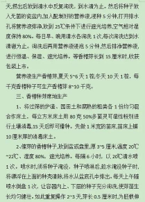 家庭养花用生根粉