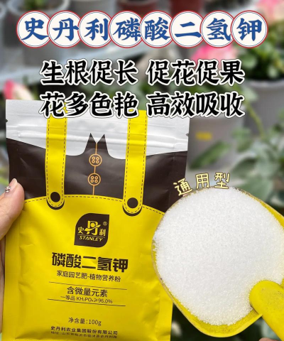 家庭养花用生根粉