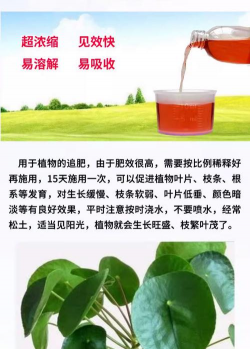 家庭养花用生根粉