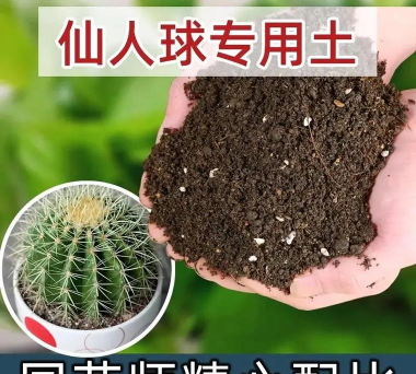仙人掌花用什么土