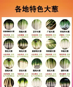 搜索葱种什么名字