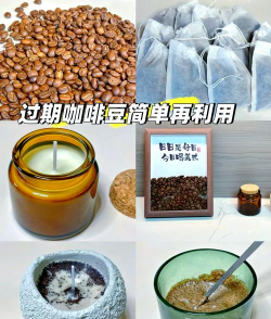 过期咖啡豆能不能养花草